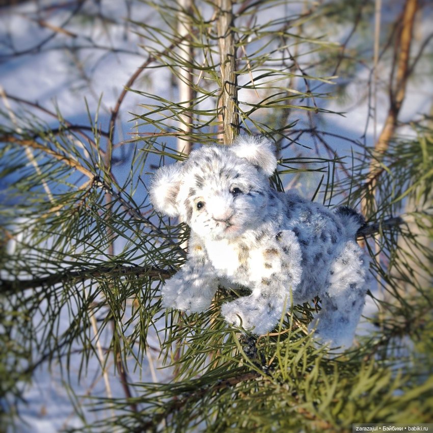 Малыш барс. Сибирское утро