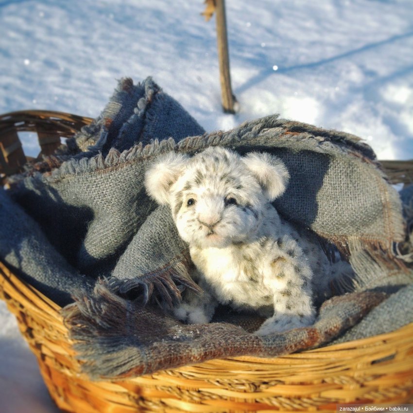 Малыш барс. Сибирское утро