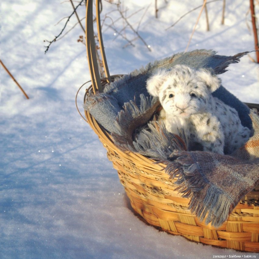 Малыш барс. Сибирское утро
