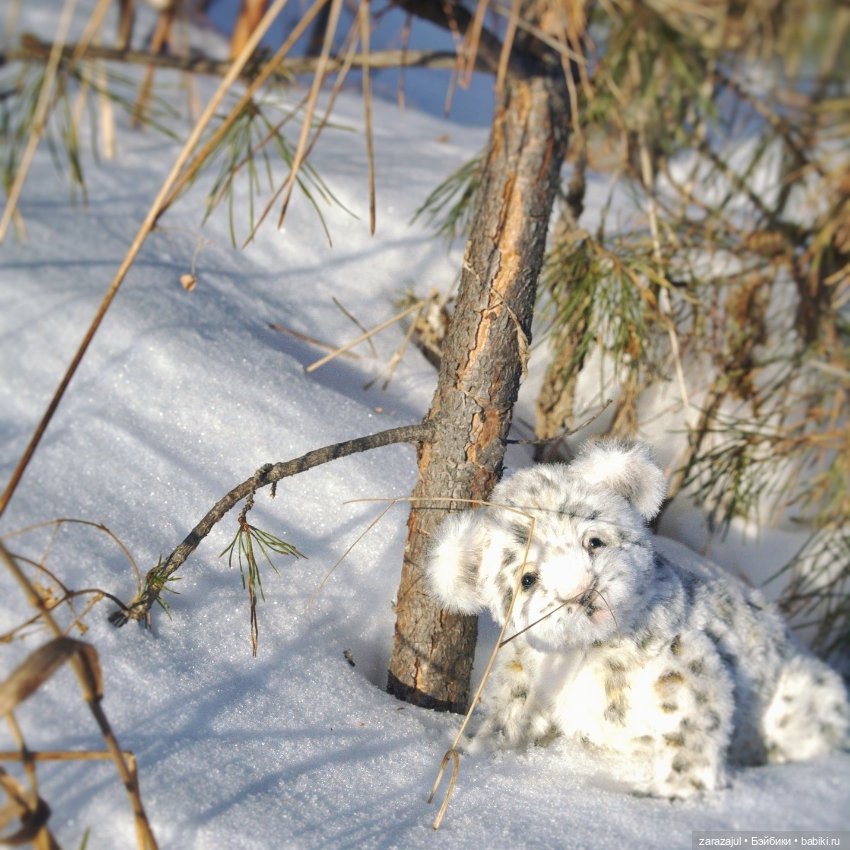 Малыш барс. Сибирское утро