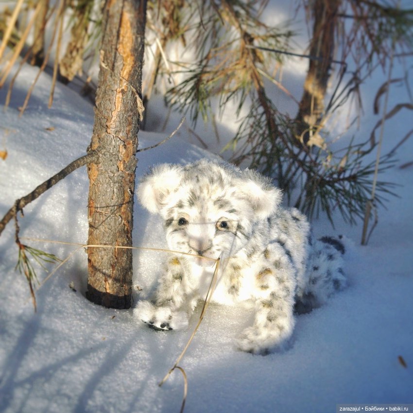 Малыш барс. Сибирское утро
