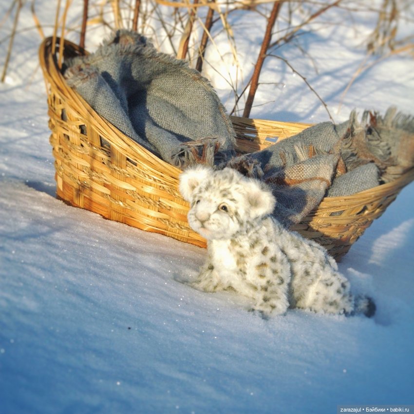 Малыш барс. Сибирское утро (фото 7)