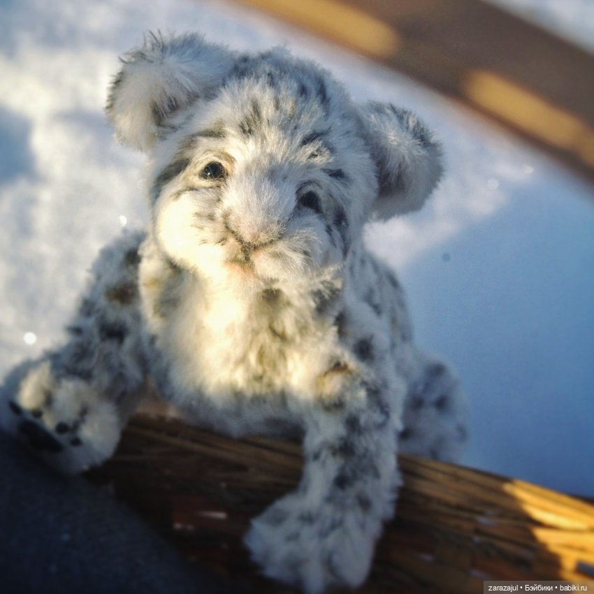 Малыш барс. Сибирское утро (фото 10)