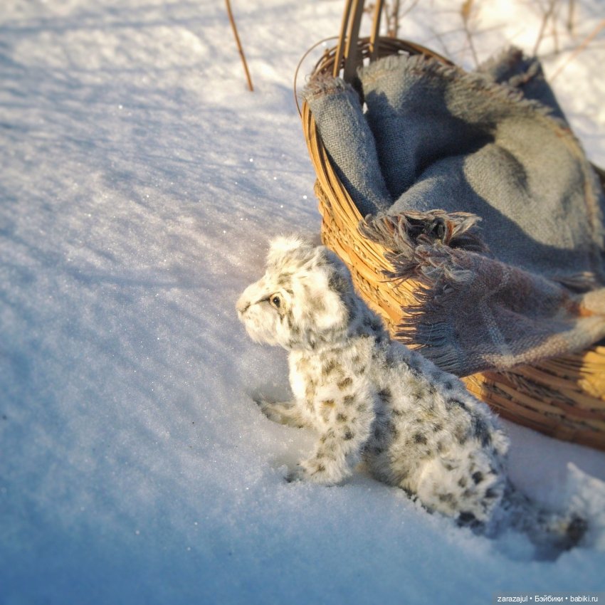 Малыш барс. Сибирское утро (фото 6)