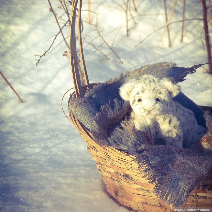 Малыш барс. Сибирское утро