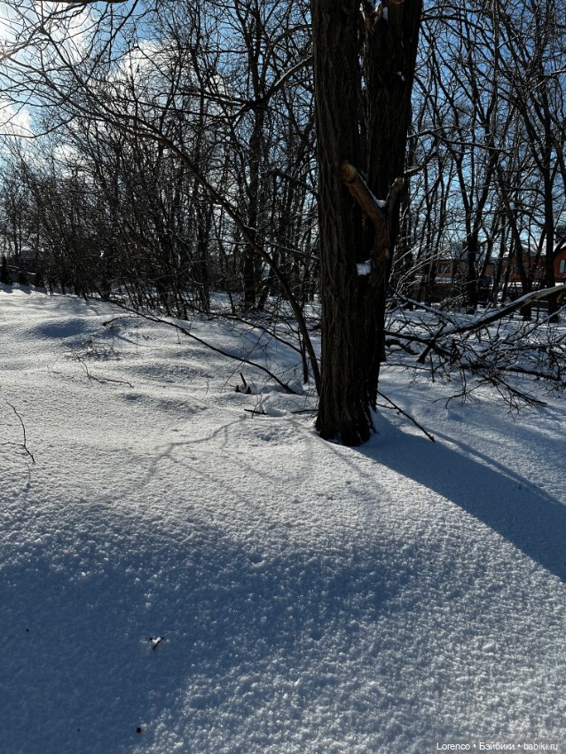 Зимняя сказка — Винтажные куклы ГДР (Немки): Бигги (фото 2)