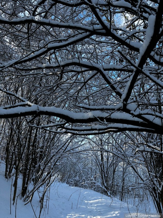 Зимняя сказка — Винтажные куклы ГДР (Немки): Бигги