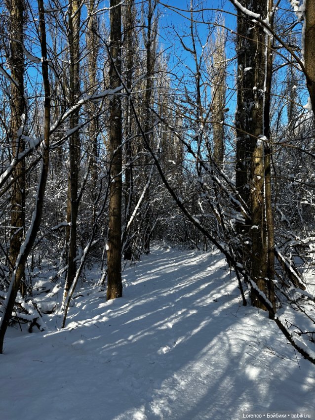 Зимняя сказка — Винтажные куклы ГДР (Немки): Бигги