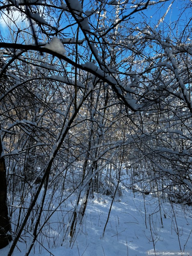 Зимняя сказка — Винтажные куклы ГДР (Немки): Бигги