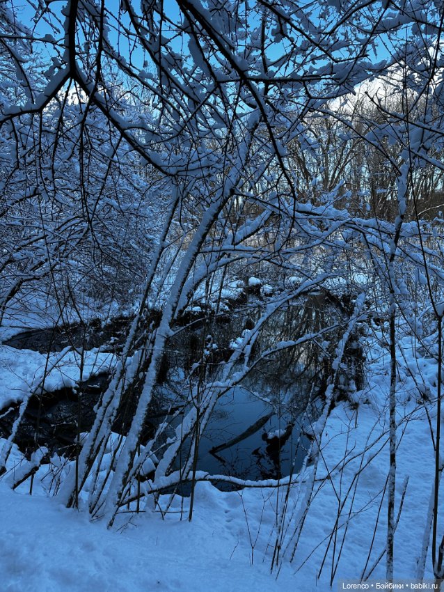 Зимняя сказка — Винтажные куклы ГДР (Немки): Бигги