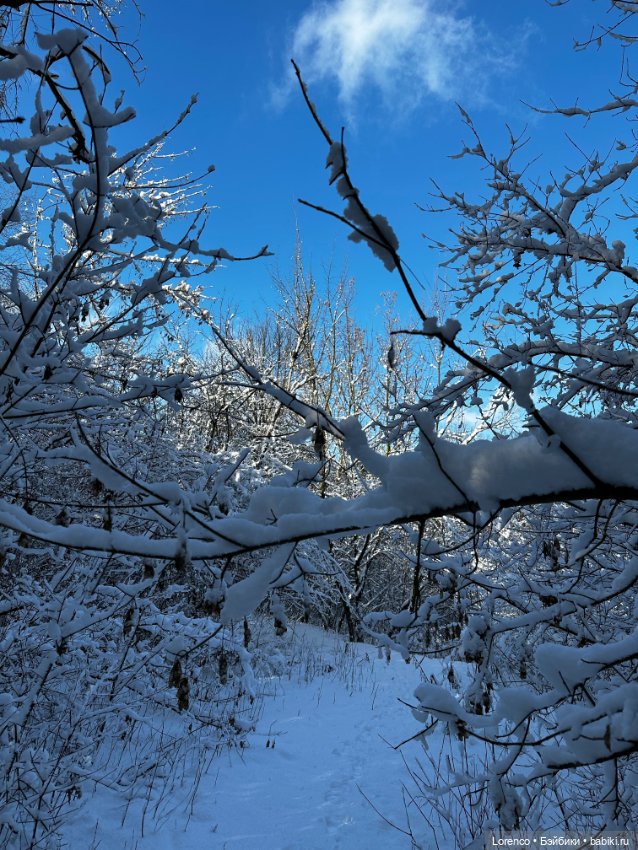 Зимняя сказка — Винтажные куклы ГДР (Немки): Бигги