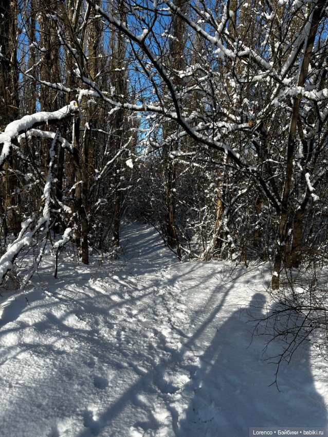 Зимняя сказка — Винтажные куклы ГДР (Немки): Бигги