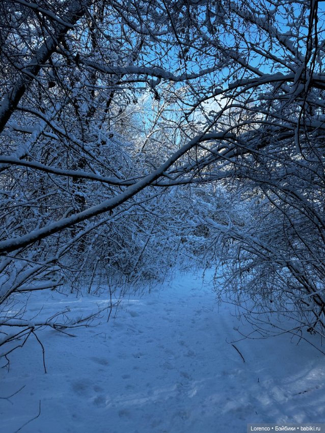 Зимняя сказка — Винтажные куклы ГДР (Немки): Бигги