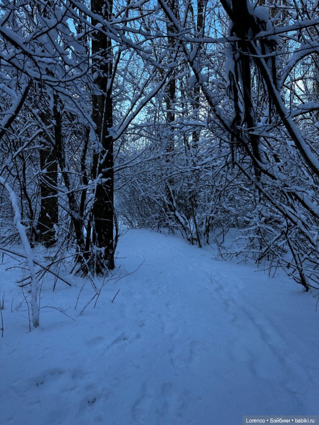 Зимняя сказка — Винтажные куклы ГДР (Немки): Бигги