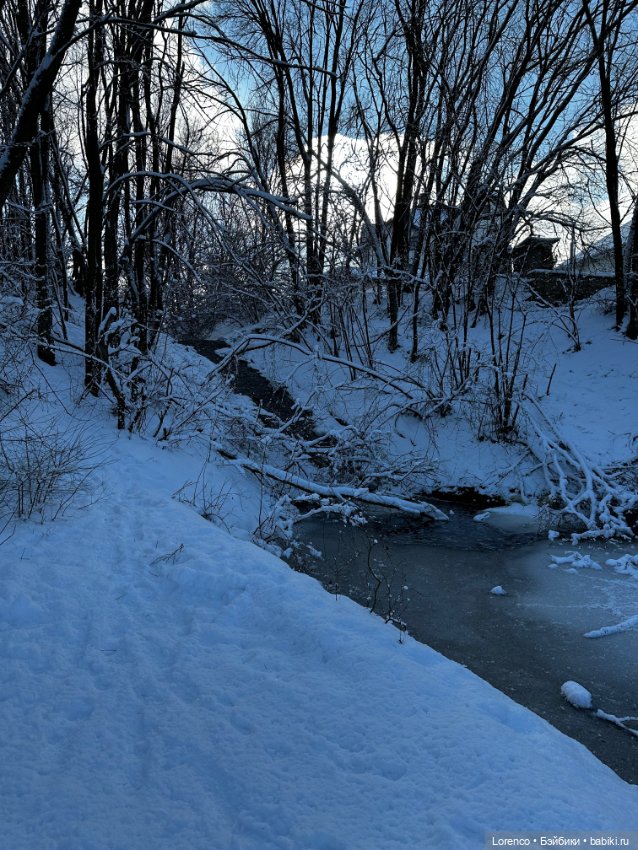 Зимняя сказка — Винтажные куклы ГДР (Немки): Бигги