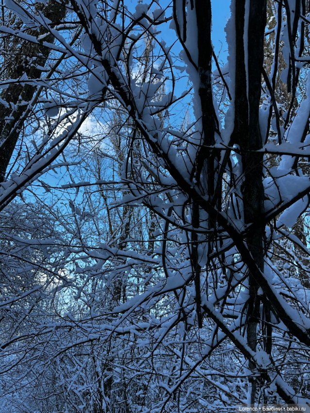 Зимняя сказка — Винтажные куклы ГДР (Немки): Бигги