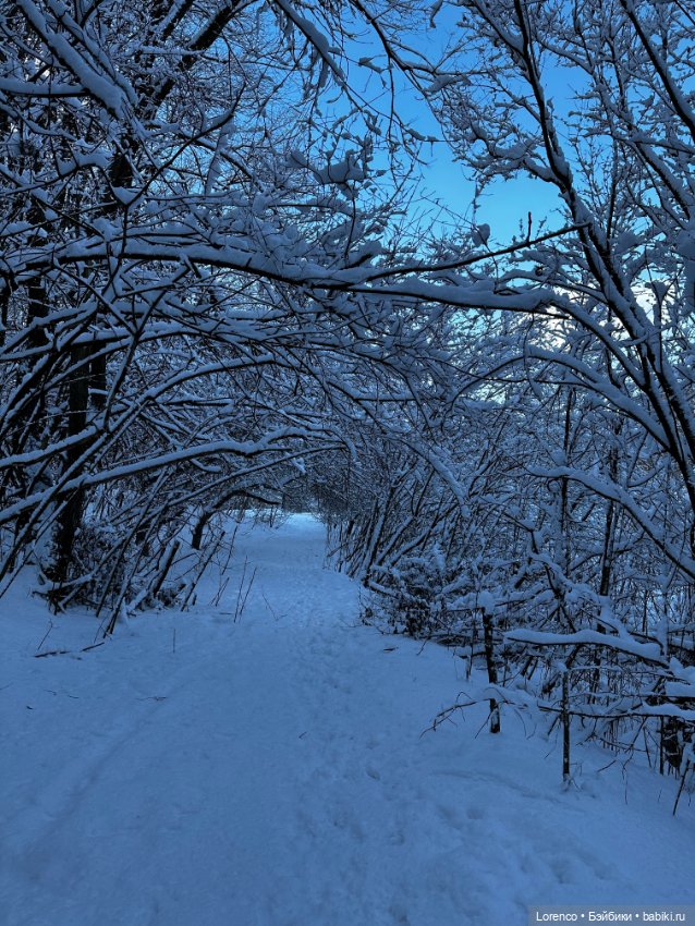 Зимняя сказка — Винтажные куклы ГДР (Немки): Бигги