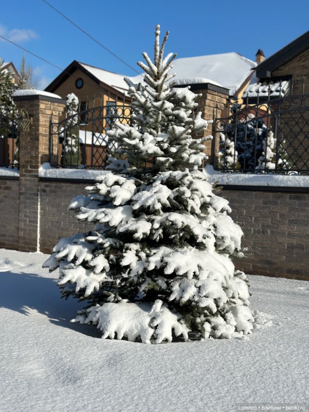 Зимняя сказка — Винтажные куклы ГДР (Немки): Бигги (фото 6)