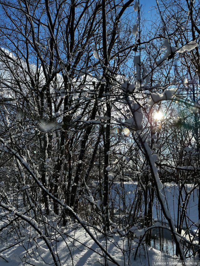 Зимняя сказка — Винтажные куклы ГДР (Немки): Бигги