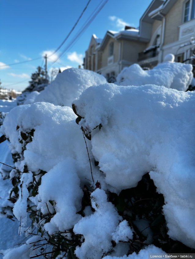 Зимняя сказка — Винтажные куклы ГДР (Немки): Бигги (фото 7)