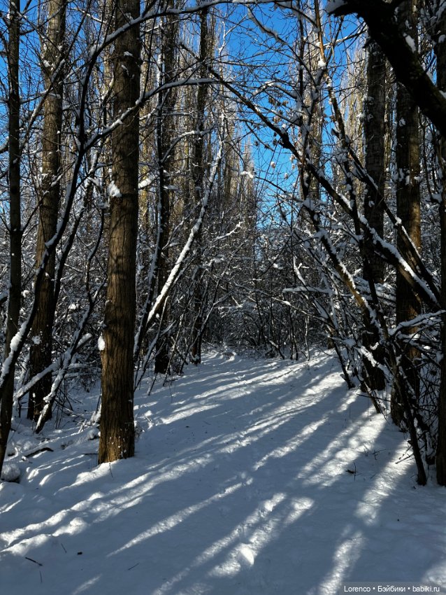 Зимняя сказка — Винтажные куклы ГДР (Немки): Бигги