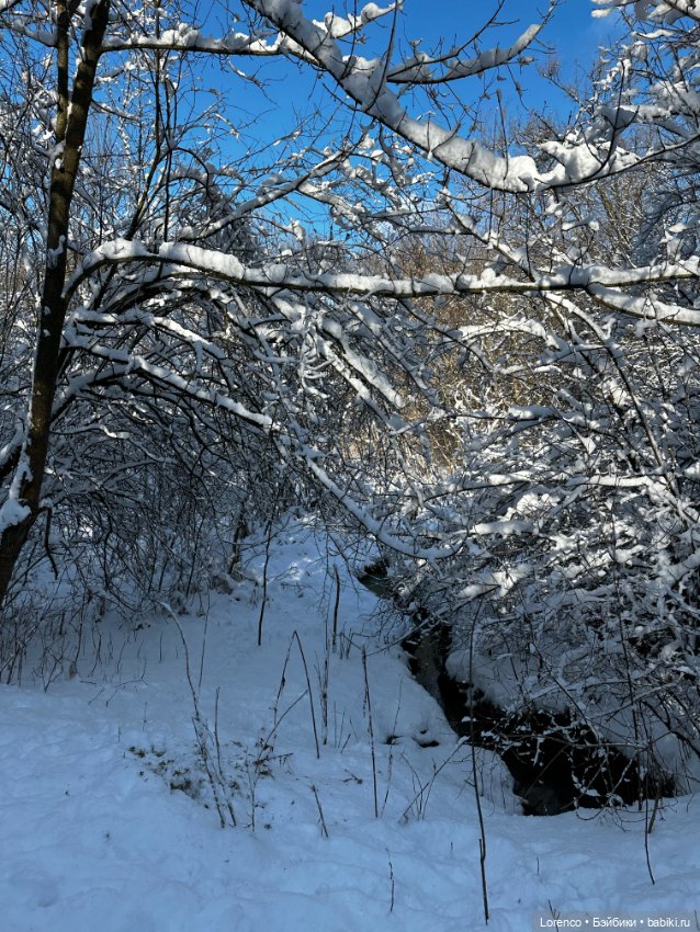 Зимняя сказка — Винтажные куклы ГДР (Немки): Бигги