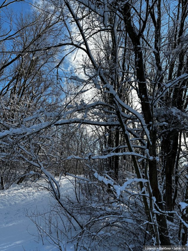Зимняя сказка — Винтажные куклы ГДР (Немки): Бигги