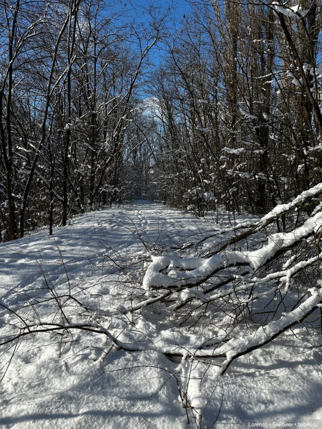 Зимняя сказка — Винтажные куклы ГДР (Немки): Бигги