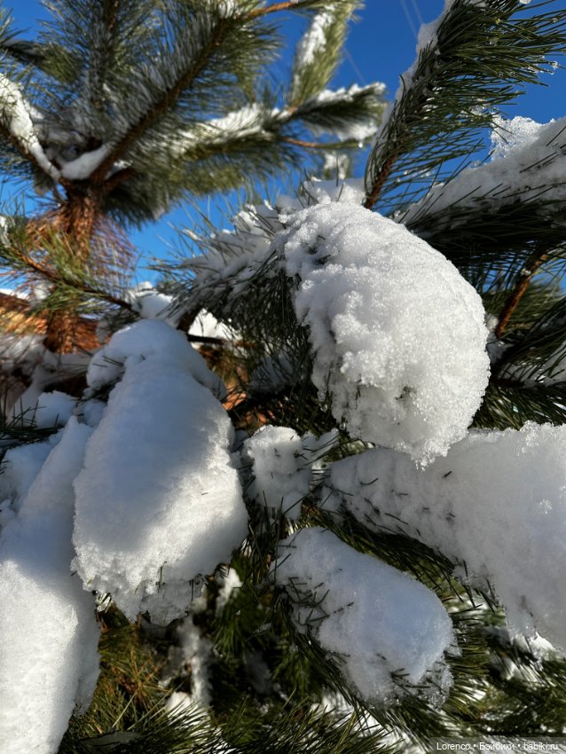 Зимняя сказка — Винтажные куклы ГДР (Немки): Бигги (фото 5)