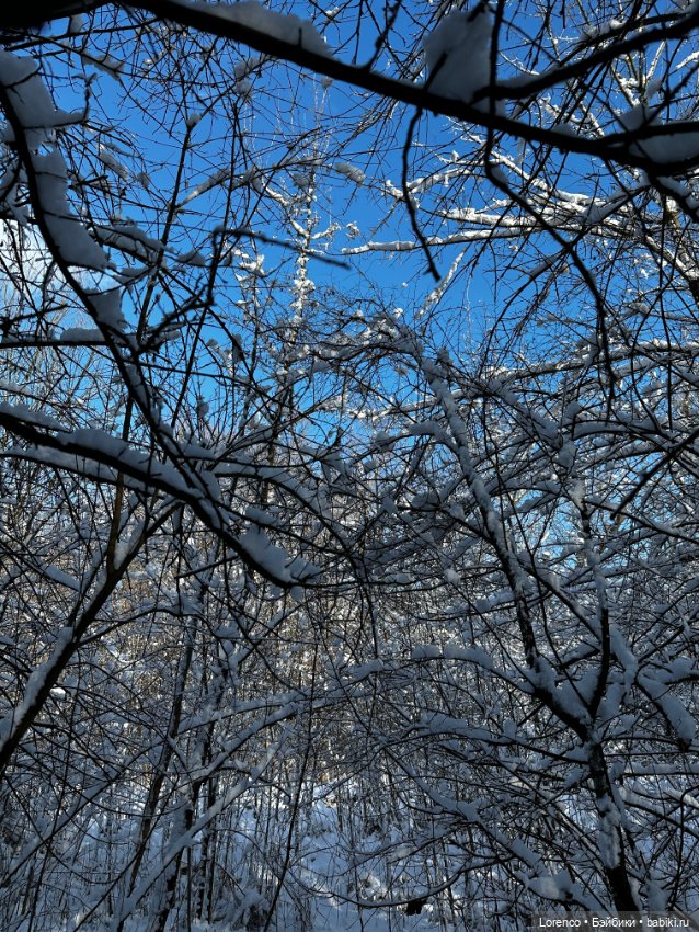 Зимняя сказка — Винтажные куклы ГДР (Немки): Бигги