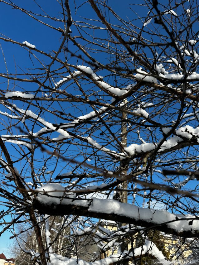 Зимняя сказка — Винтажные куклы ГДР (Немки): Бигги (фото 8)