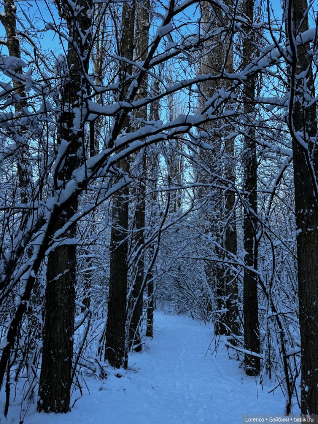 Зимняя сказка — Винтажные куклы ГДР (Немки): Бигги