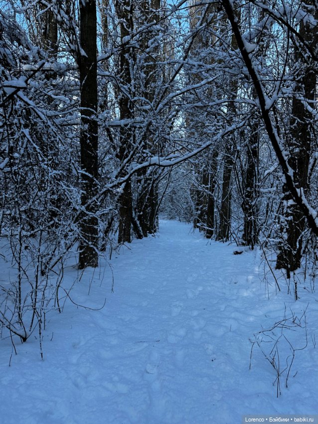 Зимняя сказка — Винтажные куклы ГДР (Немки): Бигги