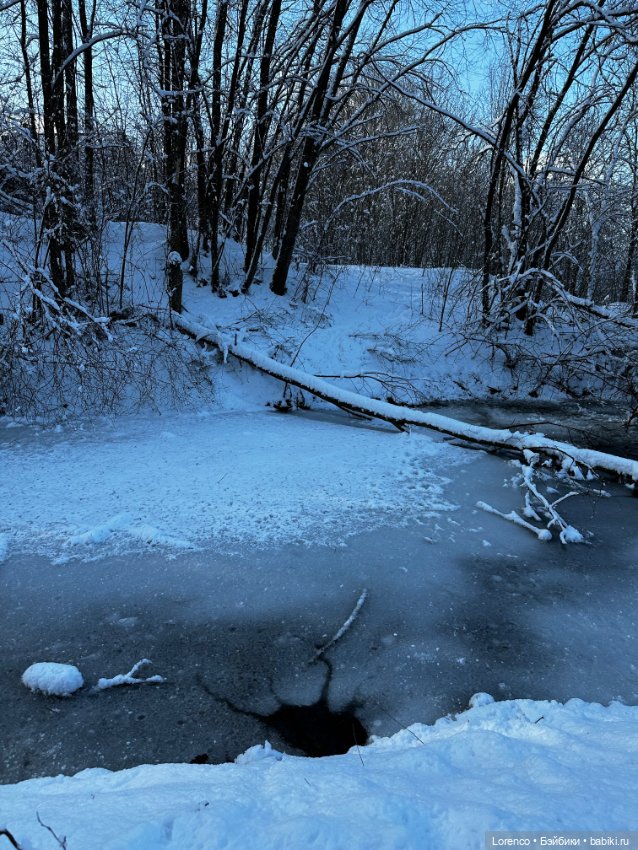 Зимняя сказка — Винтажные куклы ГДР (Немки): Бигги