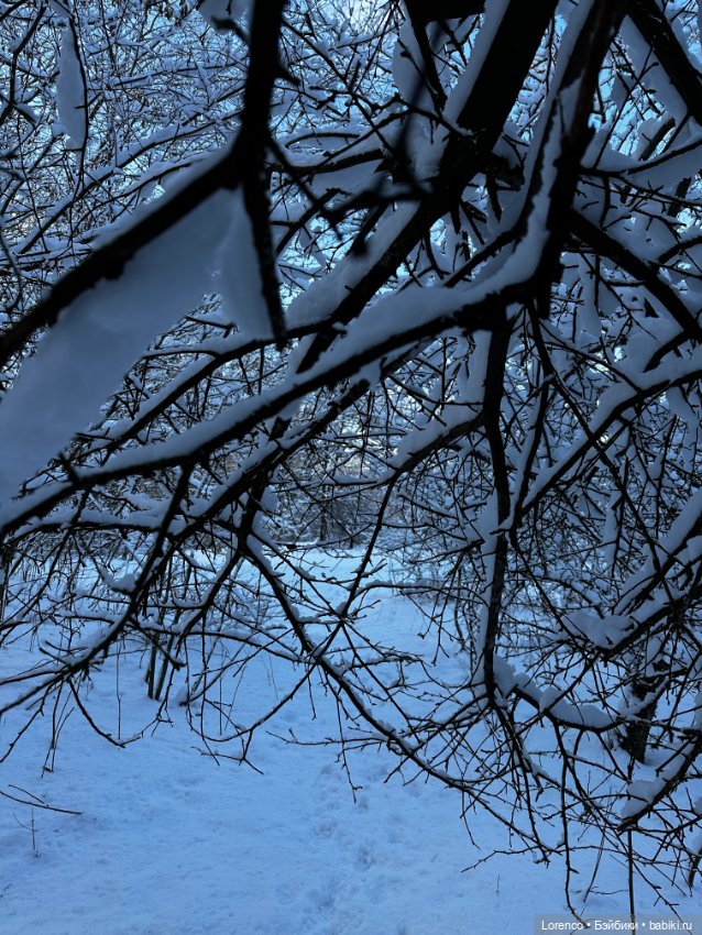 Зимняя сказка — Винтажные куклы ГДР (Немки): Бигги