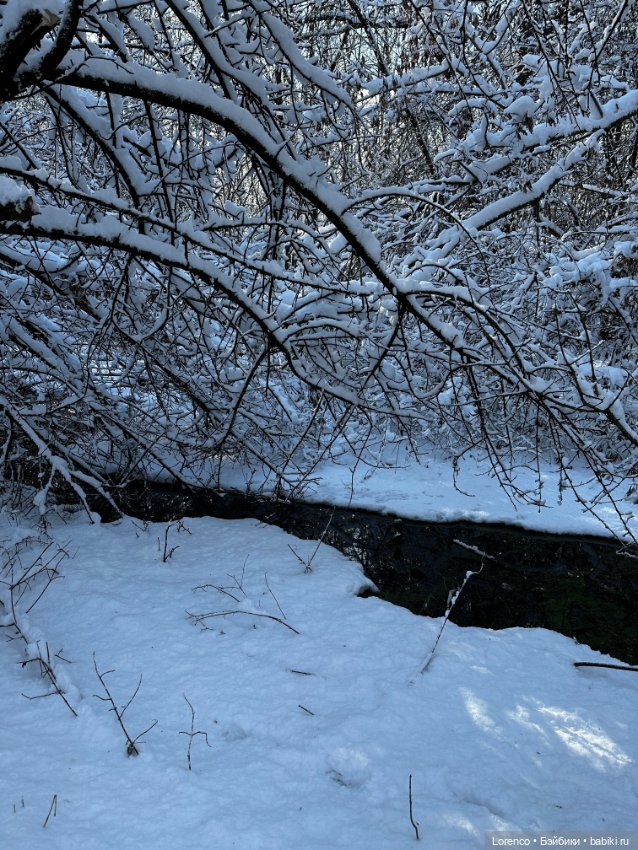 Зимняя сказка — Винтажные куклы ГДР (Немки): Бигги
