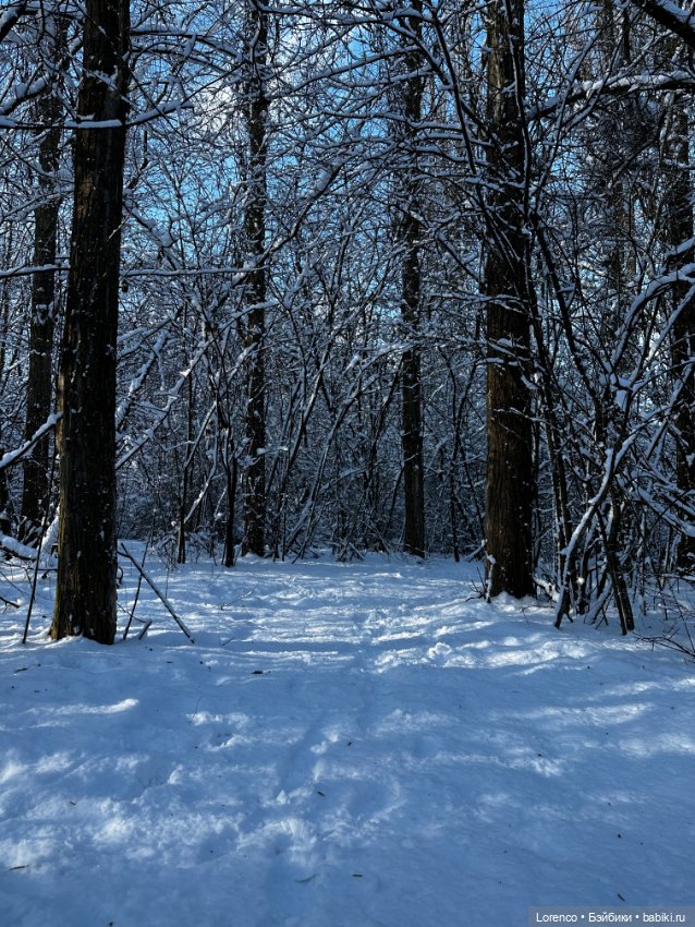 Зимняя сказка — Винтажные куклы ГДР (Немки): Бигги