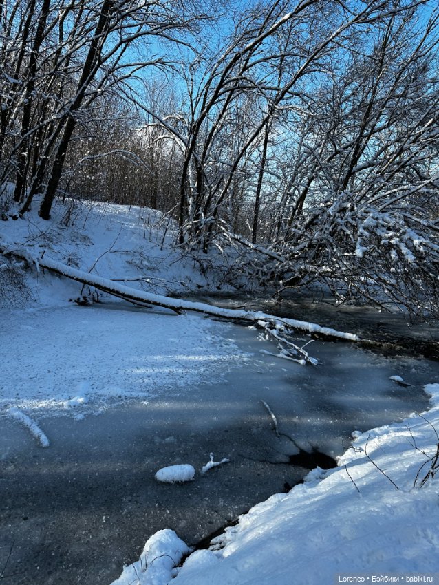 Зимняя сказка — Винтажные куклы ГДР (Немки): Бигги