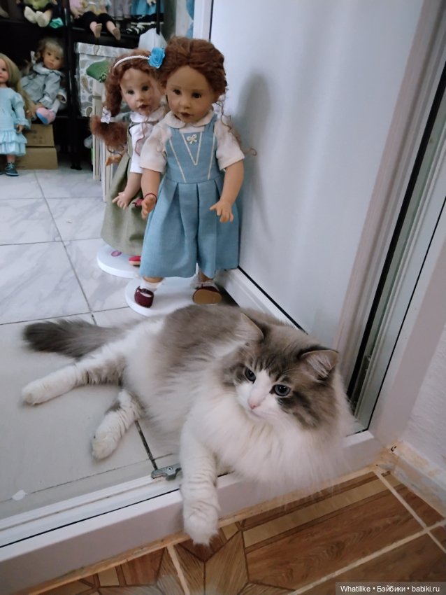 Principessa. Ах, принцесса