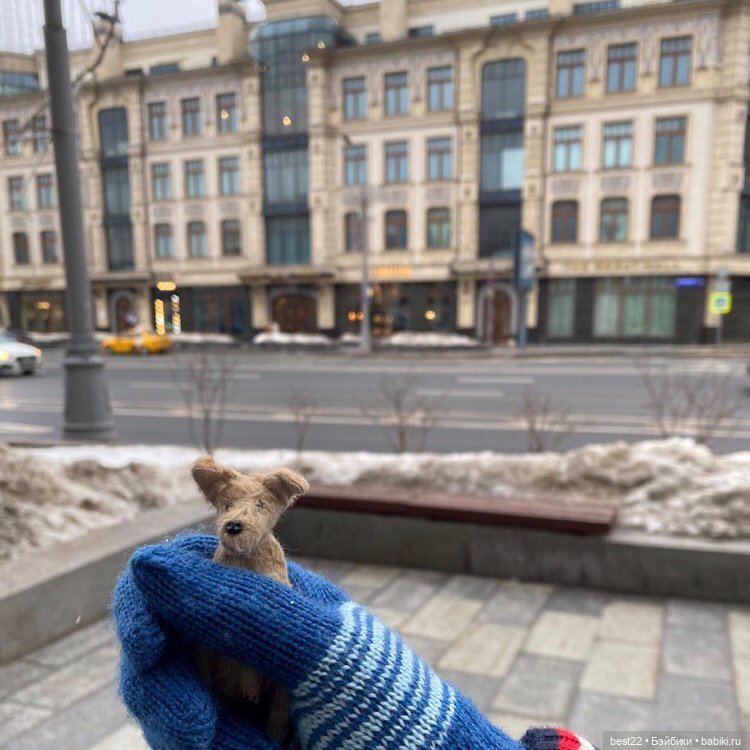 🐕 Гуччи — Домашние фото авторских игрушек: Тедди (фото 8)