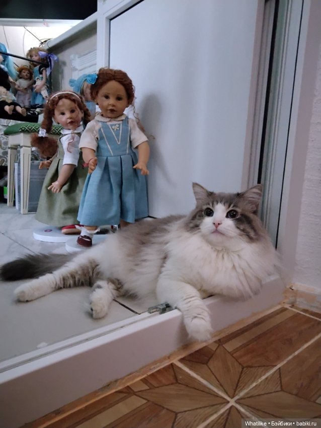 Principessa. Ах, принцесса