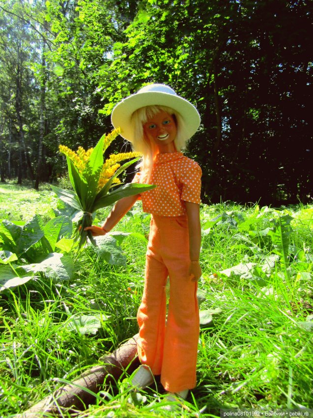 Дасти — Аналоги Барби и куклы 1/6: клоны 90