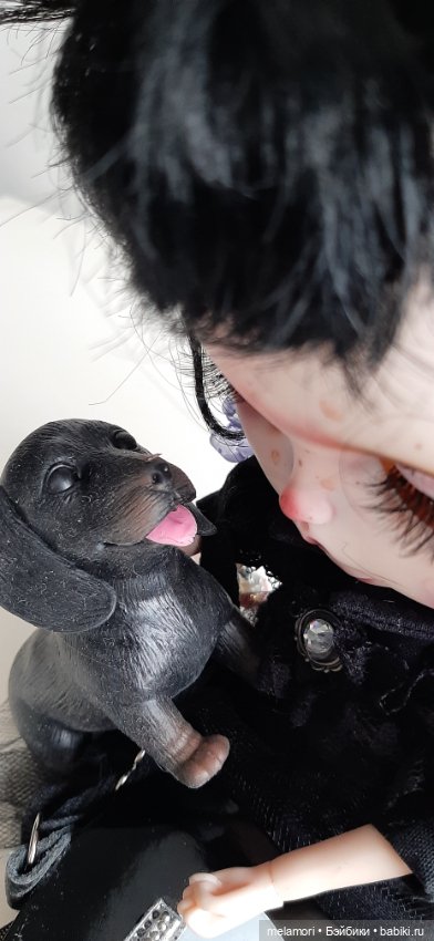 Гитара,Карл и Клара — Куклы Blythe (Блайз) ООАК: кастом