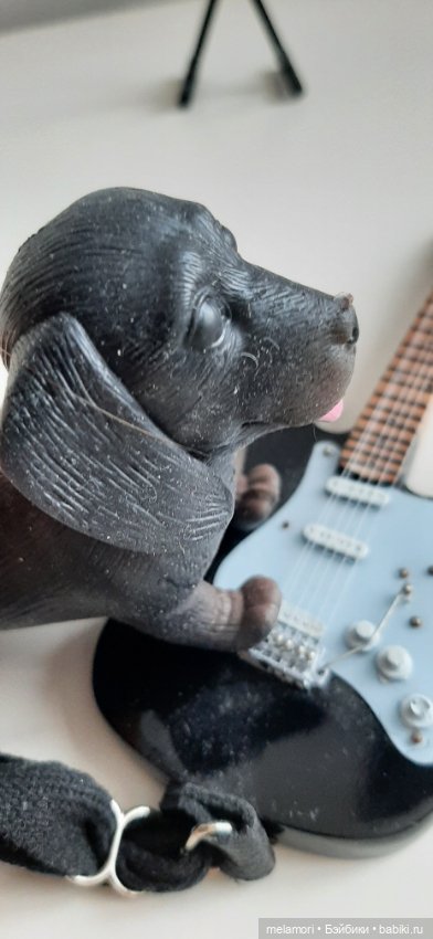 Гитара,Карл и Клара — Куклы Blythe (Блайз) ООАК: кастом (фото 8)