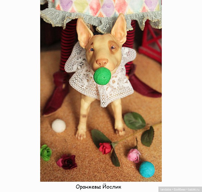 БЖД игра "Цирк. Радость. Волшебство" (фото 5)