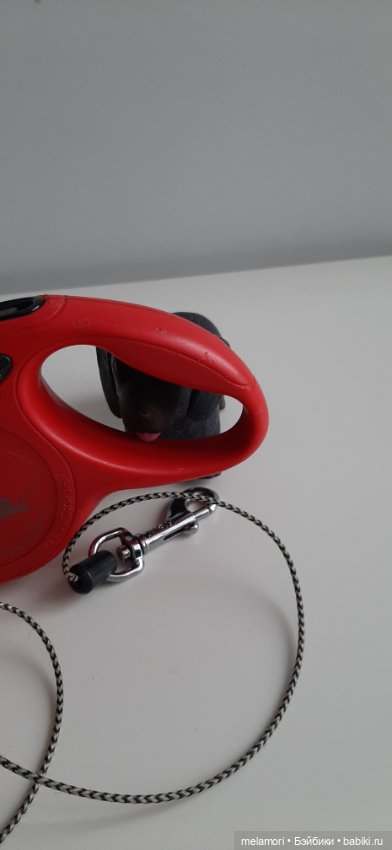 Карл и поводок — Интересные игрушки и фигурки (разное): редкие (фото 6)