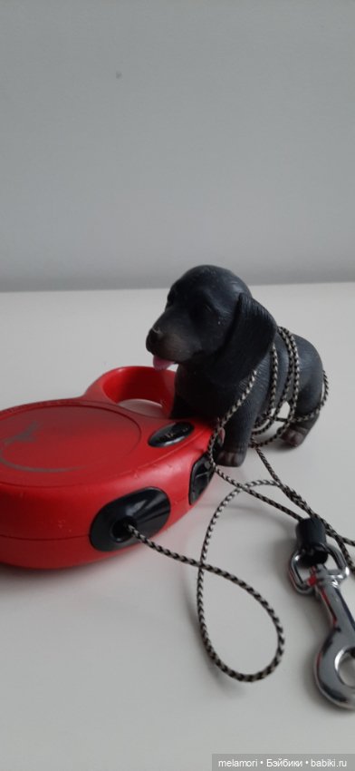 Карл и поводок — Интересные игрушки и фигурки (разное): редкие