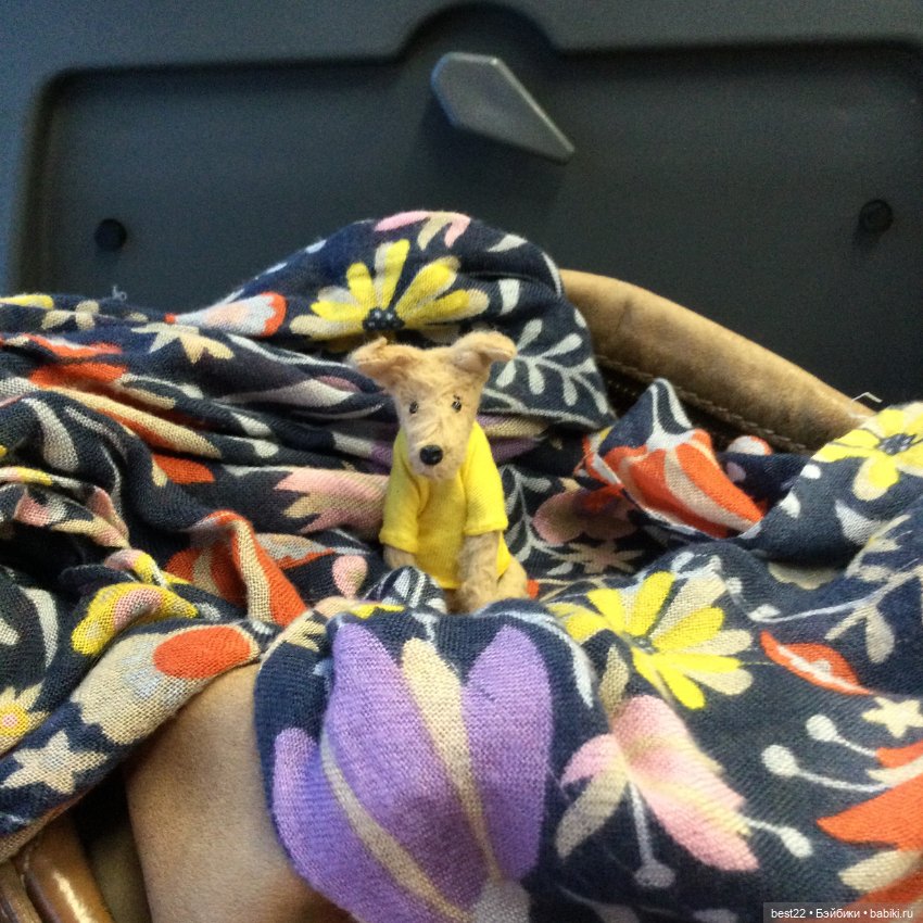 🐕 Гуччи — Домашние фото авторских игрушек: Тедди