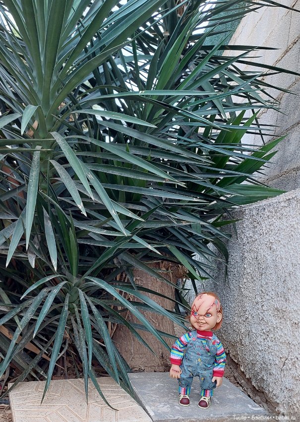 Чаки знакомится с городом (фото 7)