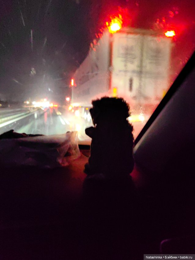 Музыкальная История 85 — Туризм и путешествия: фотоотчеты из поездок